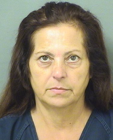  MAHJABIN ZEHTABI Results from Palm Beach County Florida for  MAHJABIN ZEHTABI