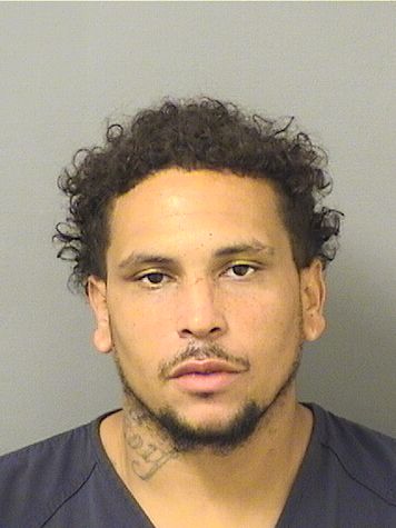  DEONDRE ANTWAIN BROWN Resultados de la busqueda para Palm Beach County Florida para  DEONDRE ANTWAIN BROWN