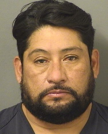  HENRRY JAVIER CARDONA Results from Palm Beach County Florida for  HENRRY JAVIER CARDONA