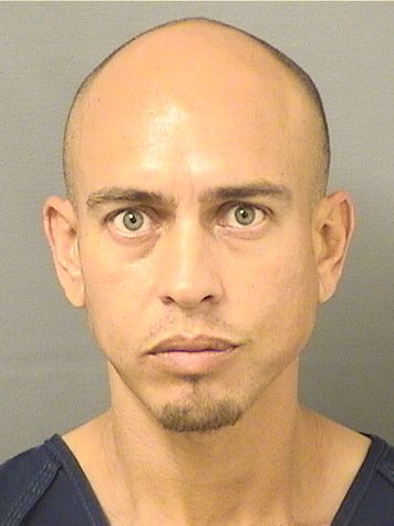  ANGEL ROMAN Resultados de la busqueda para Palm Beach County Florida para  ANGEL ROMAN