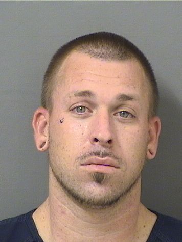  AUSTIN MITCHELL YANCHIK Results from Palm Beach County Florida for  AUSTIN MITCHELL YANCHIK