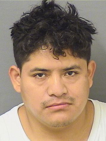 ELMER JEREMIAS MEJIA Results from Palm Beach County Florida for ELMER JEREMIAS MEJIA ELMER JEREMIAS MEJIA Results from Palm Beach County Florida for ELMER JEREMIAS MEJIA