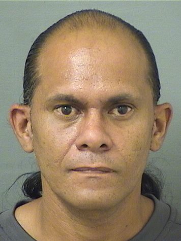  NOEL ROSA PACHECO Results from Palm Beach County Florida for  NOEL ROSA PACHECO