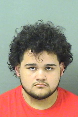  YEISON OMAR MOLINA Resultados de la busqueda para Palm Beach County Florida para  YEISON OMAR MOLINA