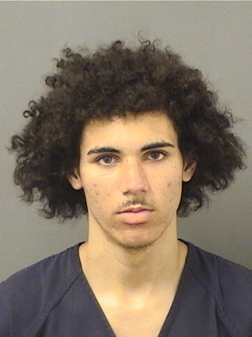  MAURICE ANTHONY MADRID Results from Palm Beach County Florida for  MAURICE ANTHONY MADRID