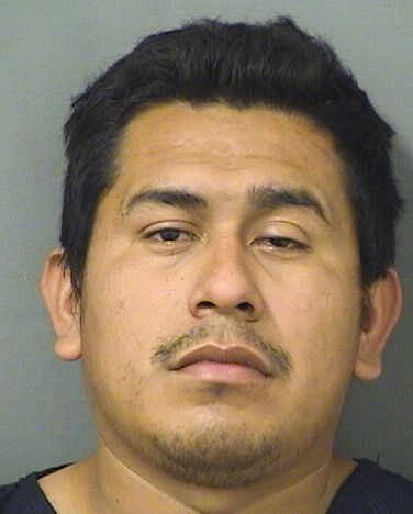 JAIRO ISMALENOVARO Results from Palm Beach County Florida for JAIRO ISMALENOVARO JAIRO ISMALENOVARO Results from Palm Beach County Florida for JAIRO ISMALENOVARO