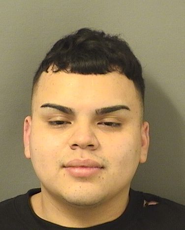  EDUARDO A LEON Results from Palm Beach County Florida for  EDUARDO A LEON