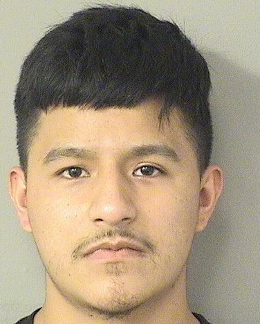  JOSE RENATO MARTINEZCASTRO Results from Palm Beach County Florida for  JOSE RENATO MARTINEZCASTRO