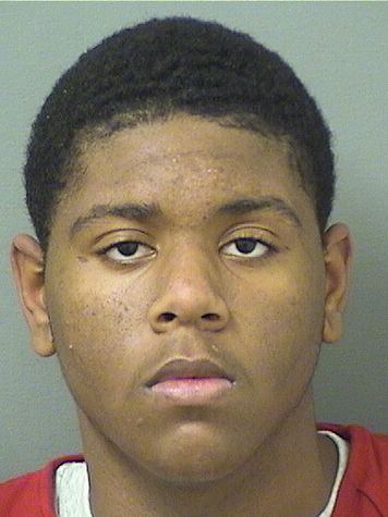  CHASE EMANUEL DAVIS Results from Palm Beach County Florida for  CHASE EMANUEL DAVIS