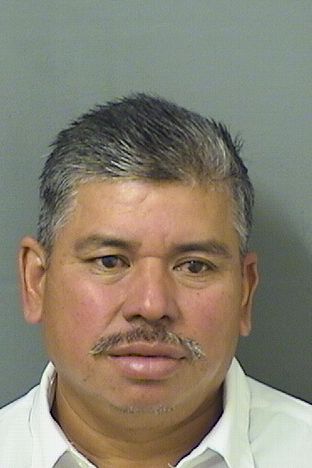 JACINTO M GONZLEZGOMEZ Results from Palm Beach County Florida for JACINTO M GONZLEZGOMEZ JACINTO M GONZLEZGOMEZ Results from Palm Beach County Florida for JACINTO M GONZLEZGOMEZ
