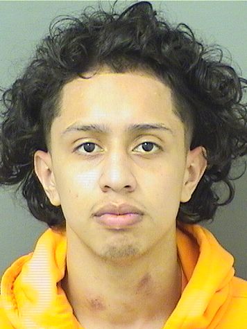  MICHAEL RIVERA Results from Palm Beach County Florida for  MICHAEL RIVERA