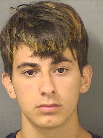 SAMSON DAVID LESKU Results from Palm Beach County Florida for  SAMSON DAVID LESKU  SAMSON DAVID LESKU Results from Palm Beach County Florida for  SAMSON DAVID LESKU