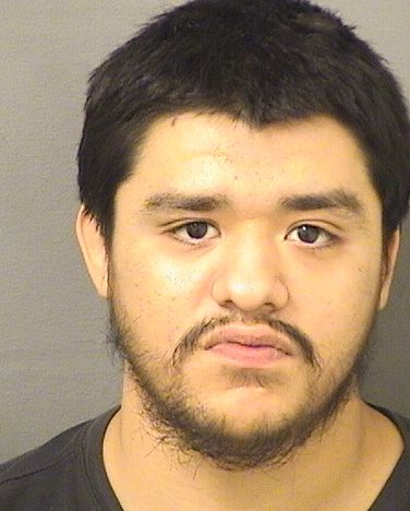  JESUS HENRY SORIA Results from Palm Beach County Florida for  JESUS HENRY SORIA