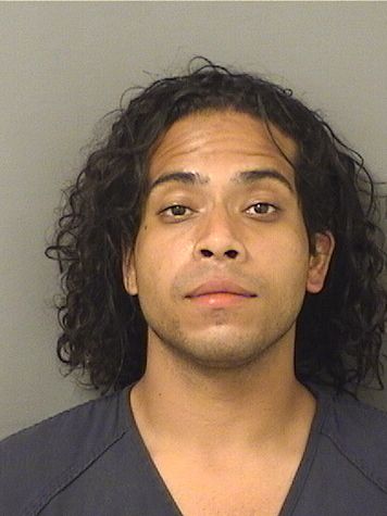  CHRISTIAN E AGUILARHERNANDEZ Results from Palm Beach County Florida for  CHRISTIAN E AGUILARHERNANDEZ