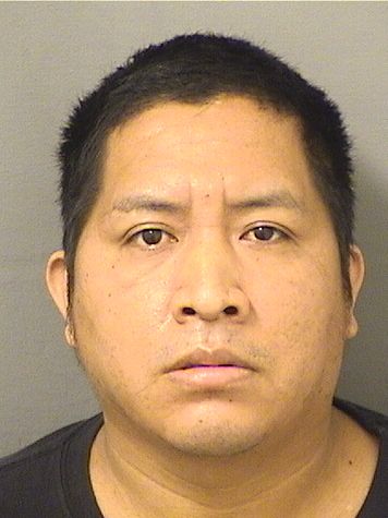  WILLY RAFAEL RAYMUNDOCOBO Resultados de la busqueda para Palm Beach County Florida para  WILLY RAFAEL RAYMUNDOCOBO