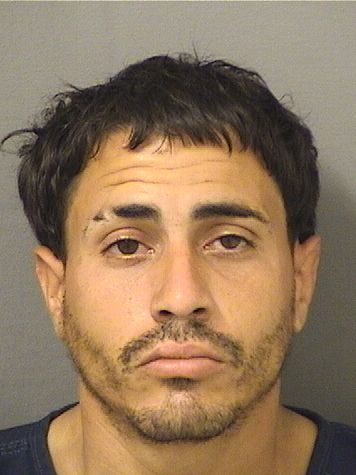 CARLOS IVAN TIRADORODRIGUEZ Results from Palm Beach County Florida for  CARLOS IVAN TIRADORODRIGUEZ  CARLOS IVAN TIRADORODRIGUEZ Results from Palm Beach County Florida for  CARLOS IVAN TIRADORODRIGUEZ