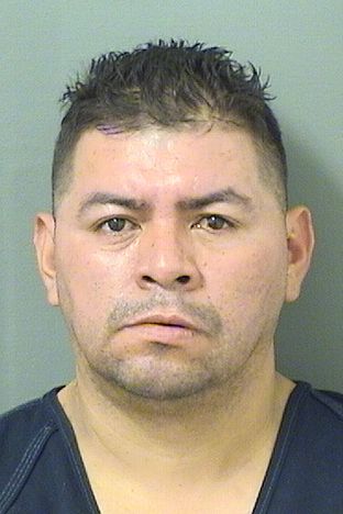  EDY C VILLATOROVASQUEZ Results from Palm Beach County Florida for  EDY C VILLATOROVASQUEZ