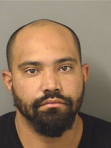  JEFFREY HAMRICK Results from Palm Beach County Florida for  JEFFREY HAMRICK