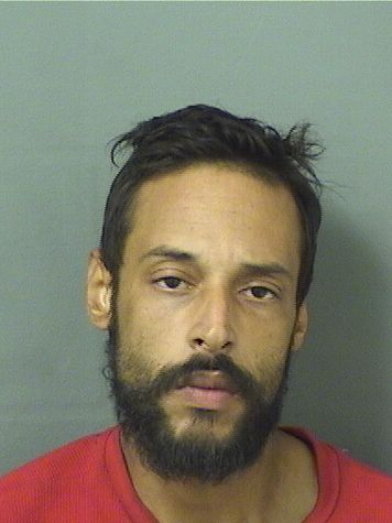  JASON MANUEL GUADALUPEZ Results from Palm Beach County Florida for  JASON MANUEL GUADALUPEZ