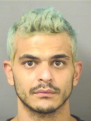  DANIEL CASTILLO Resultados de la busqueda para Palm Beach County Florida para  DANIEL CASTILLO