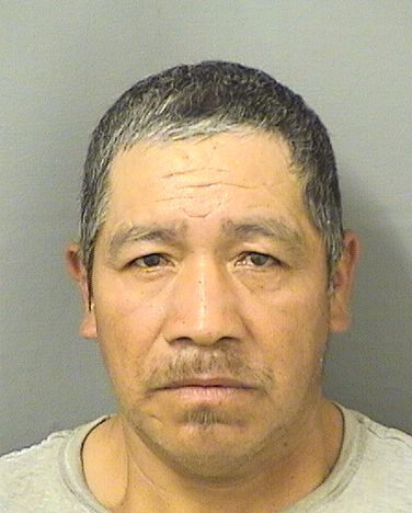  DOMINGO AGUIRREJUAN Results from Palm Beach County Florida for  DOMINGO AGUIRREJUAN