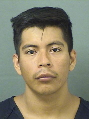  ARON BERNABE PEREZLOPEZ Results from Palm Beach County Florida for  ARON BERNABE PEREZLOPEZ