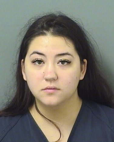  ANDREANA PETRIDES Results from Palm Beach County Florida for  ANDREANA PETRIDES