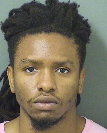  CARLDJI PIERRE Results from Palm Beach County Florida for  CARLDJI PIERRE