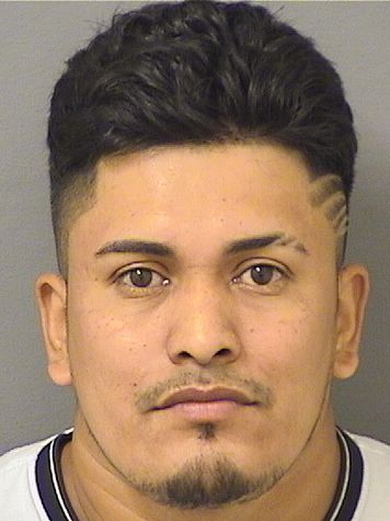  MELVIN N GRANADOSCELIS Results from Palm Beach County Florida for  MELVIN N GRANADOSCELIS