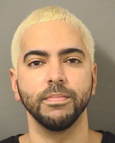  CHRISTIAN HERNANDEZ Results from Palm Beach County Florida for  CHRISTIAN HERNANDEZ