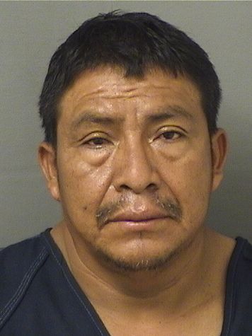 ARMANDO MAXIMILIANOMORALES Results from Palm Beach County Florida for ARMANDO MAXIMILIANOMORALES ARMANDO MAXIMILIANOMORALES Results from Palm Beach County Florida for ARMANDO MAXIMILIANOMORALES