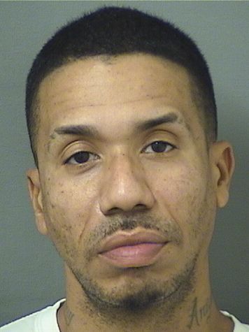  ALAN POLANCO Results from Palm Beach County Florida for  ALAN POLANCO