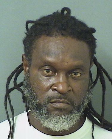  MITCHELL LEVOD MARION Results from Palm Beach County Florida for  MITCHELL LEVOD MARION