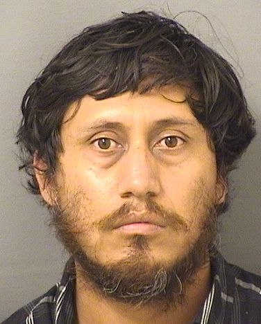  HERIBERTO M GIRONGIRON Results from Palm Beach County Florida for  HERIBERTO M GIRONGIRON