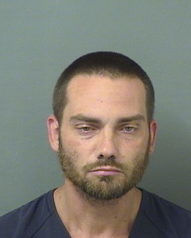 TERRENCE JJ SHEA Photos For  TERRENCE JJ SHEA  TERRENCE JJ SHEA Photo For  TERRENCE JJ SHEA