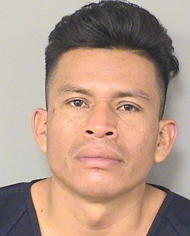  VIRGILIO MENDEZHERNANDEZ Results from Palm Beach County Florida for  VIRGILIO MENDEZHERNANDEZ