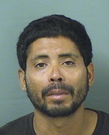  WILMER MIGUEL VELASQUEZ Results from Palm Beach County Florida for  WILMER MIGUEL VELASQUEZ
