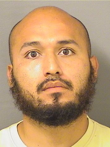  JOSE DANIEL NAVARRETE Results from Palm Beach County Florida for  JOSE DANIEL NAVARRETE