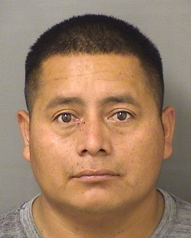 FRANCISCO G PACHECO Results from Palm Beach County Florida for FRANCISCO G PACHECO FRANCISCO G PACHECO Results from Palm Beach County Florida for FRANCISCO G PACHECO