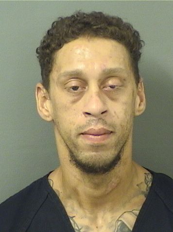  DOMINIC V FORTE Results from Palm Beach County Florida for  DOMINIC V FORTE