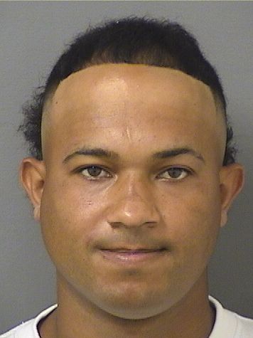  LUIS ANDALUZCARRASQUILLO Results from Palm Beach County Florida for  LUIS ANDALUZCARRASQUILLO