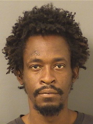  PETERSON SEIDE Results from Palm Beach County Florida for  PETERSON SEIDE