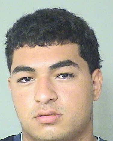  DIESTEFANO JEANCARLOS LOPEZ Results from Palm Beach County Florida for  DIESTEFANO JEANCARLOS LOPEZ