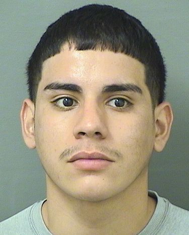 JOSTIN NICOLAS MIRABILE Results from Palm Beach County Florida for  JOSTIN NICOLAS MIRABILE