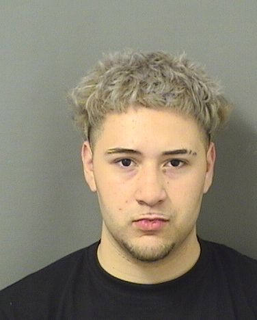  THEODORE BERKOWITZ Resultados de la busqueda para Palm Beach County Florida para  THEODORE BERKOWITZ