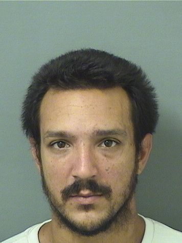  MICHAEL BARRIENTOS Results from Palm Beach County Florida for  MICHAEL BARRIENTOS