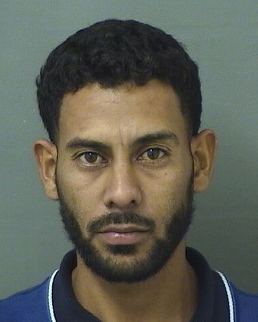  JOSE ALFREDO PADILLAMENCIA Results from Palm Beach County Florida for  JOSE ALFREDO PADILLAMENCIA