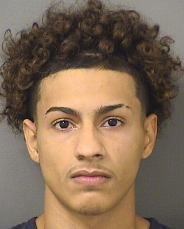  DANIEL JOSHUA SPILLEREPAGANI Results from Palm Beach County Florida for  DANIEL JOSHUA SPILLEREPAGANI