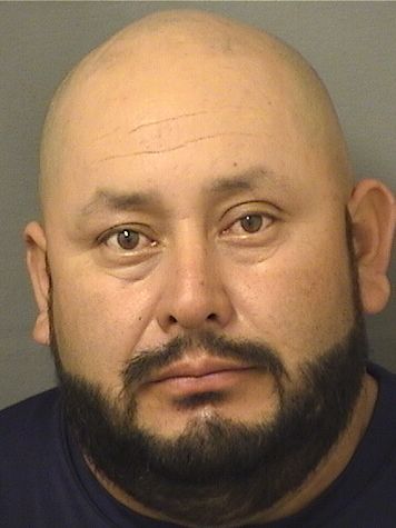  EDWIN MISAEL PEREZLIMA Results from Palm Beach County Florida for  EDWIN MISAEL PEREZLIMA