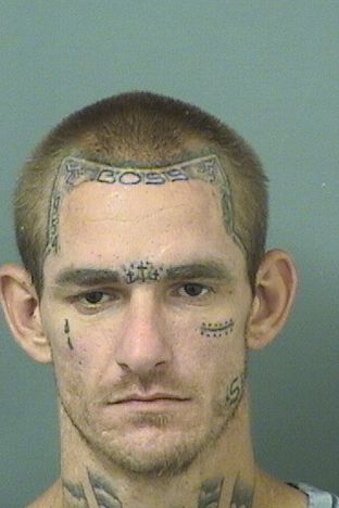  MATTHEW JOSEPH VANNOSTRAND Photo For  MATTHEW JOSEPH VANNOSTRAND